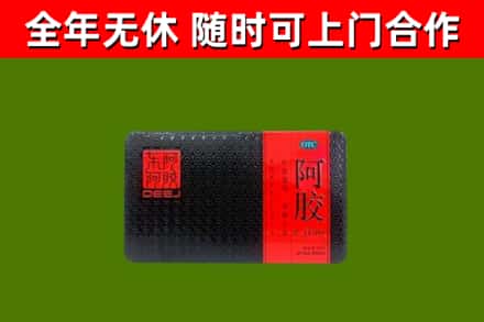 二七区烟酒回收阿胶.jpg