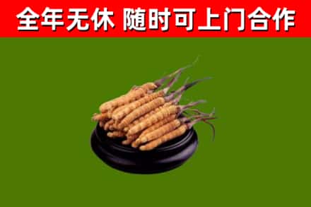 二七区烟酒回收冬虫夏草.jpg